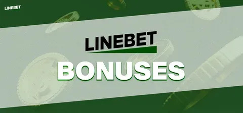 4win bet br 