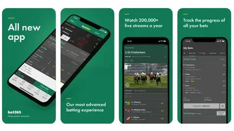 bet365 nfl 