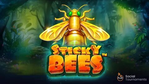 big win no deposit bonus 