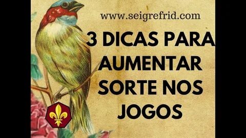 brasil colombia 