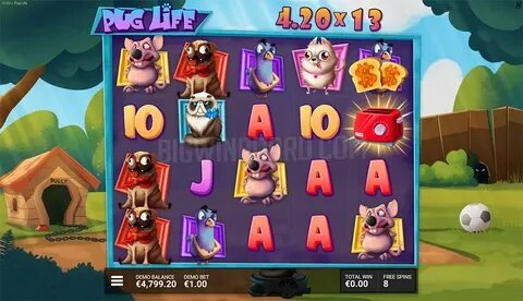 eu quero resultado do jogo do bicho 