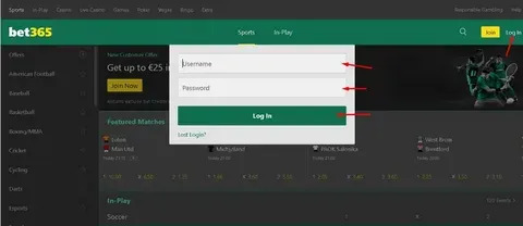 pix bet fortune tiger 
