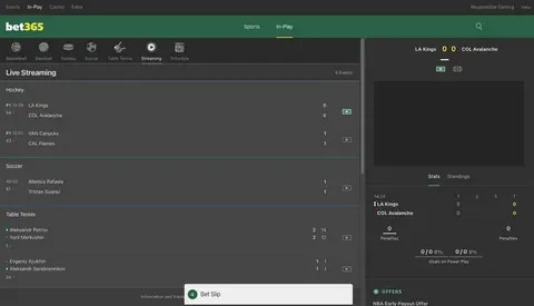 tabela do brasileirão série a 2006 